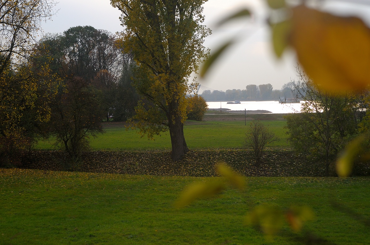 (C)K.R. DSC 1320 01