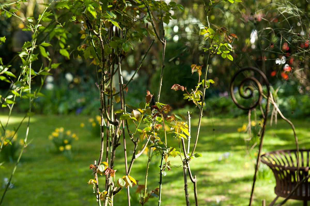 (C)K.R. DSC 1429 test