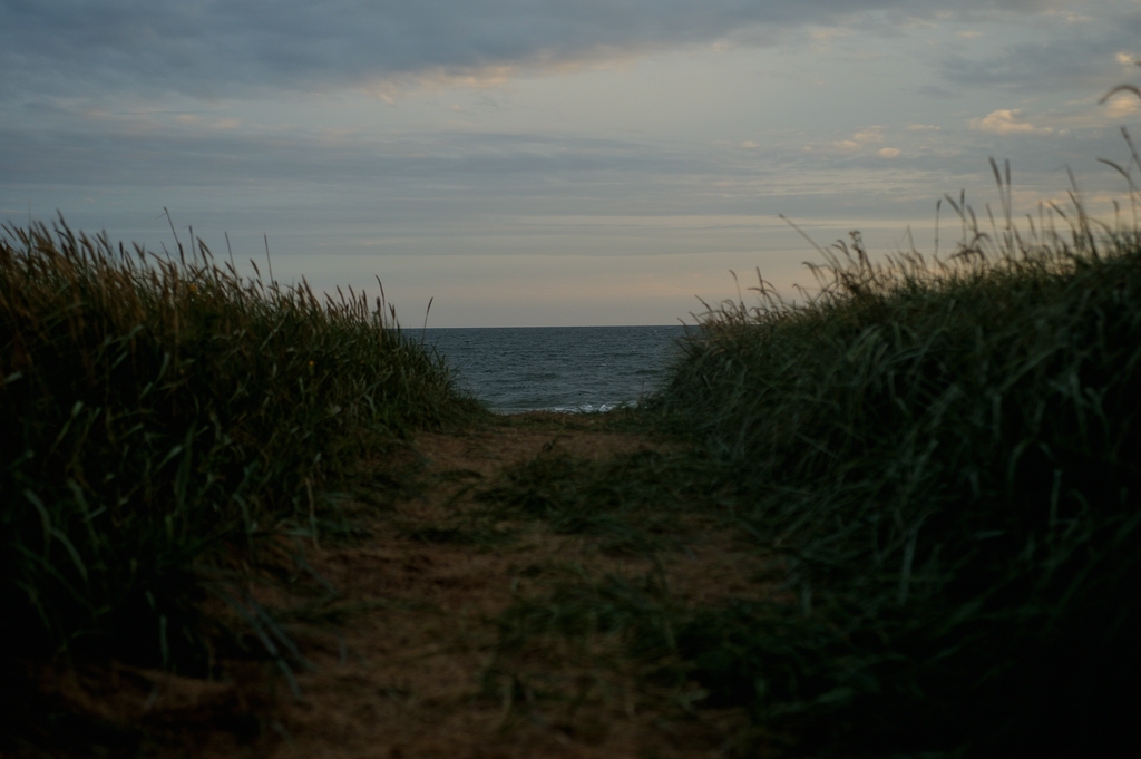 (c)KR 540DSC 3752