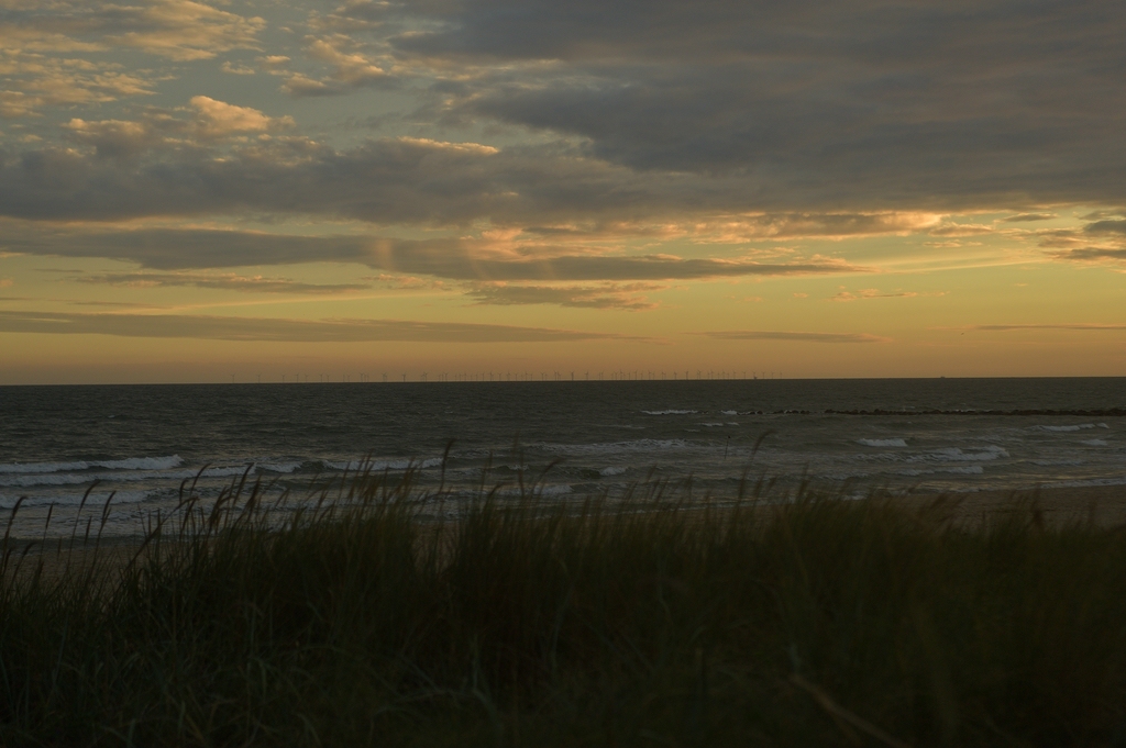 (c)KR 540DSC 3759