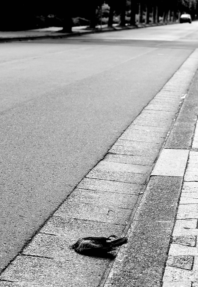 c Streetlife 3 0840