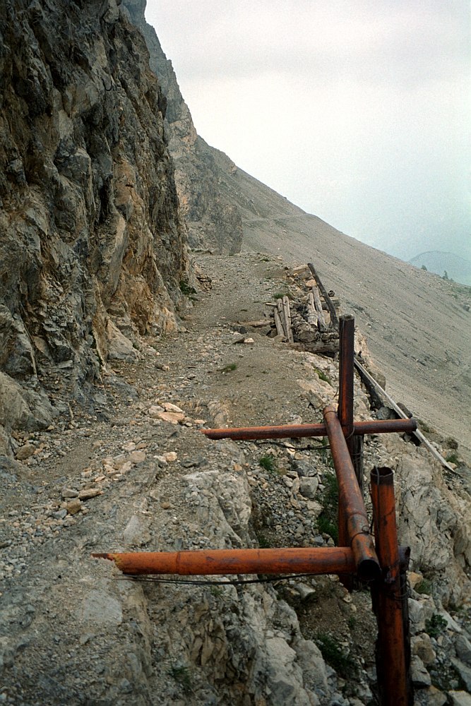 C06