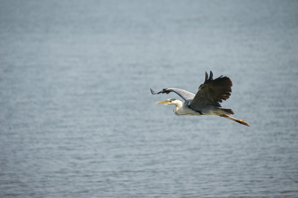 c1024 DSC 6811n5