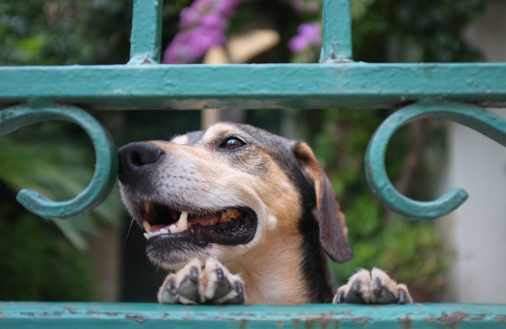c1024DSCF4919 ge
