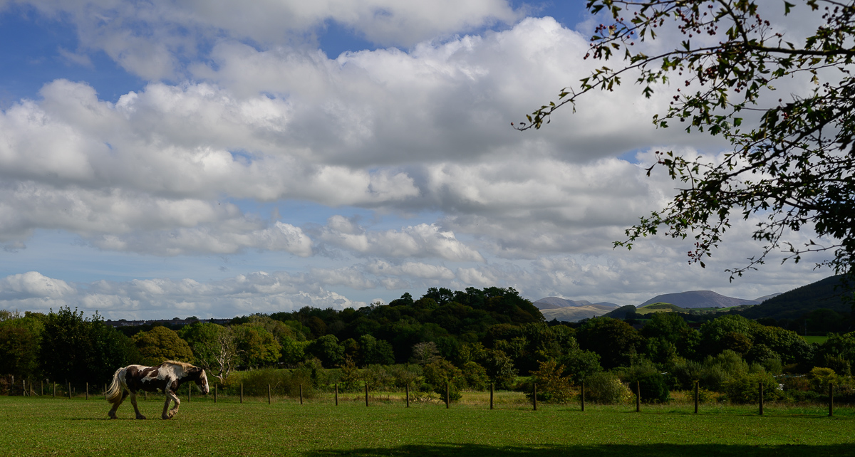 C2C_DSC_0763.jpg