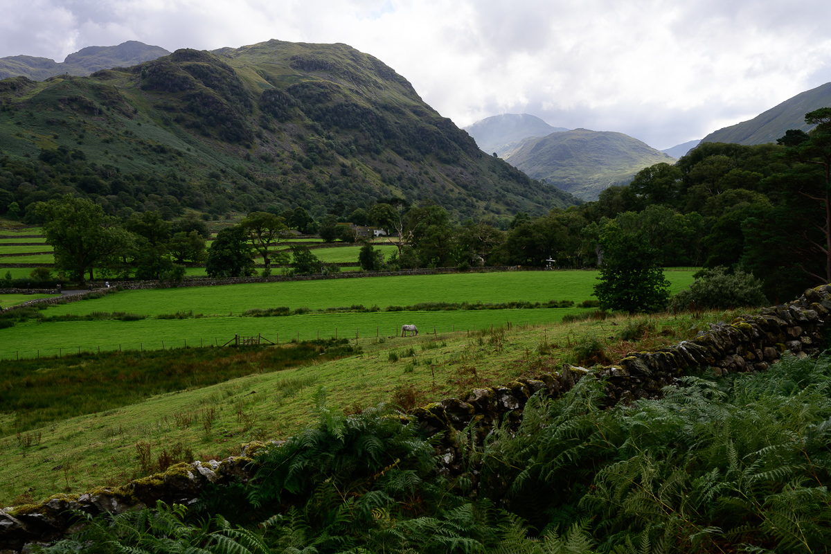 C2C_DSC_0838.jpg