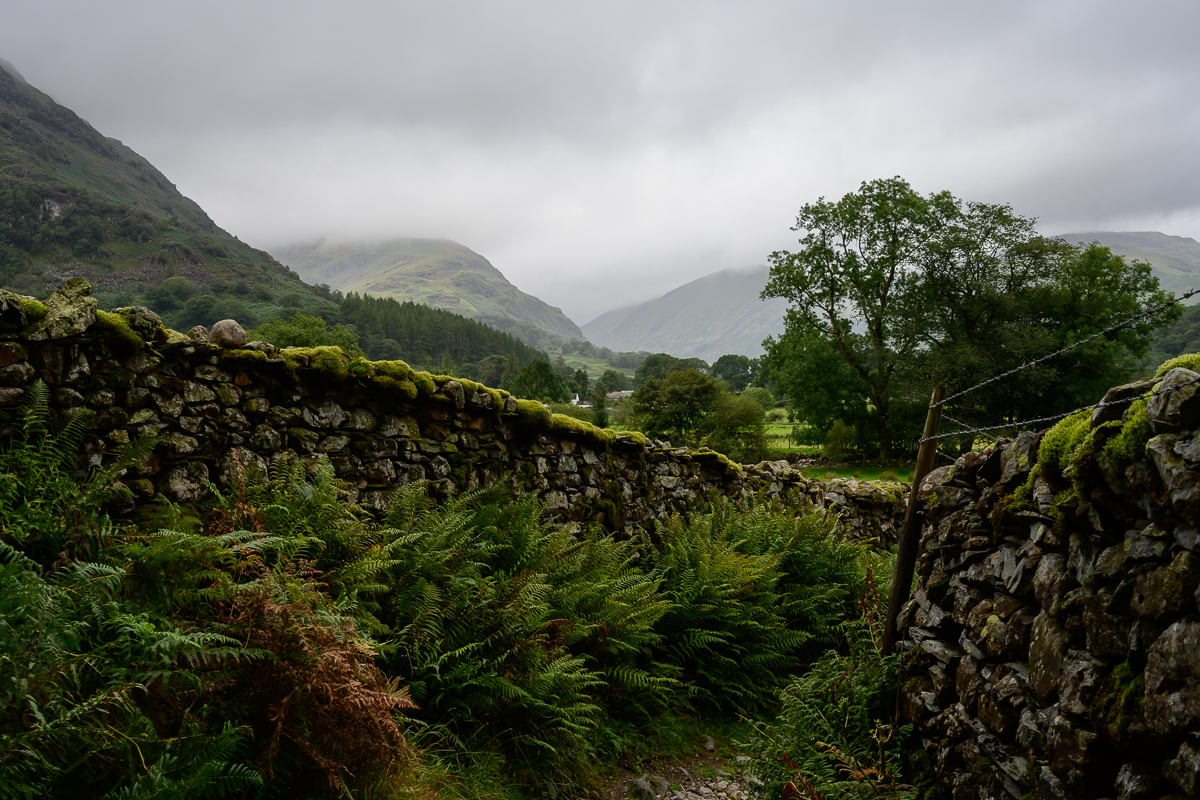 C2C_DSC_0850.jpg