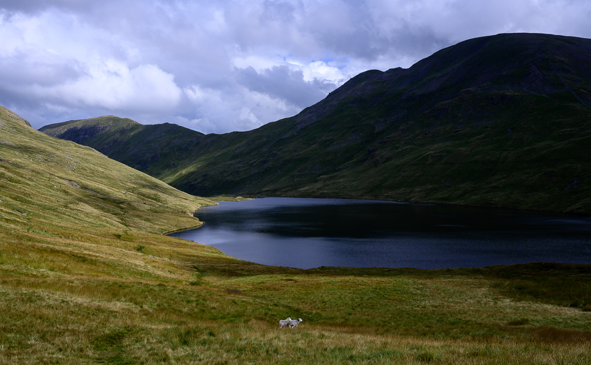 C2C_DSC_0871.jpg