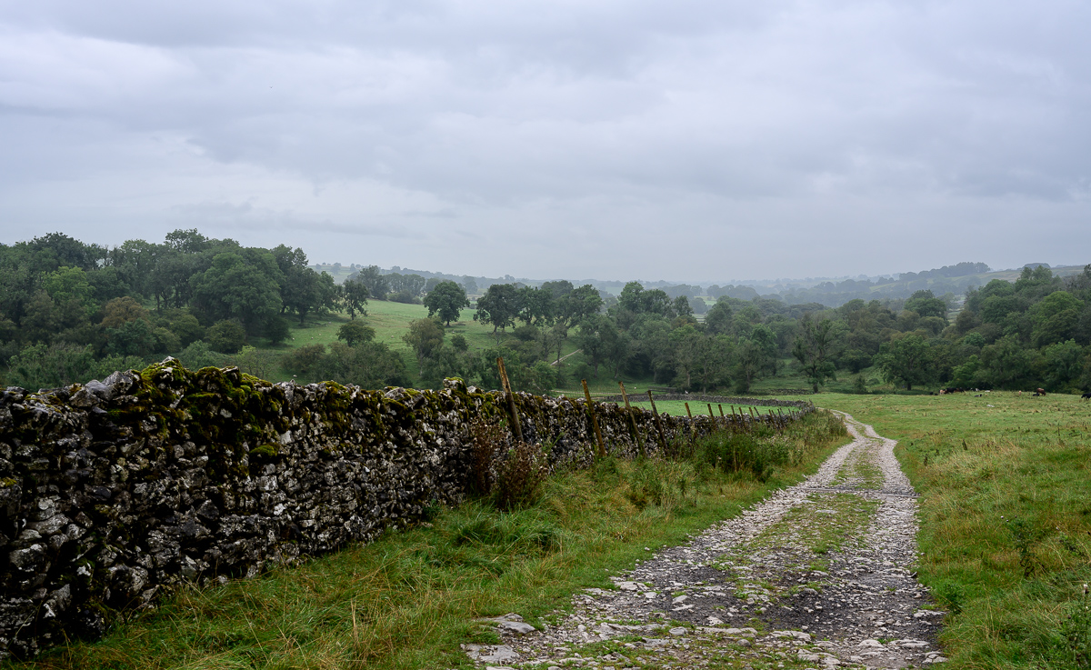 C2C_DSC_0905.jpg