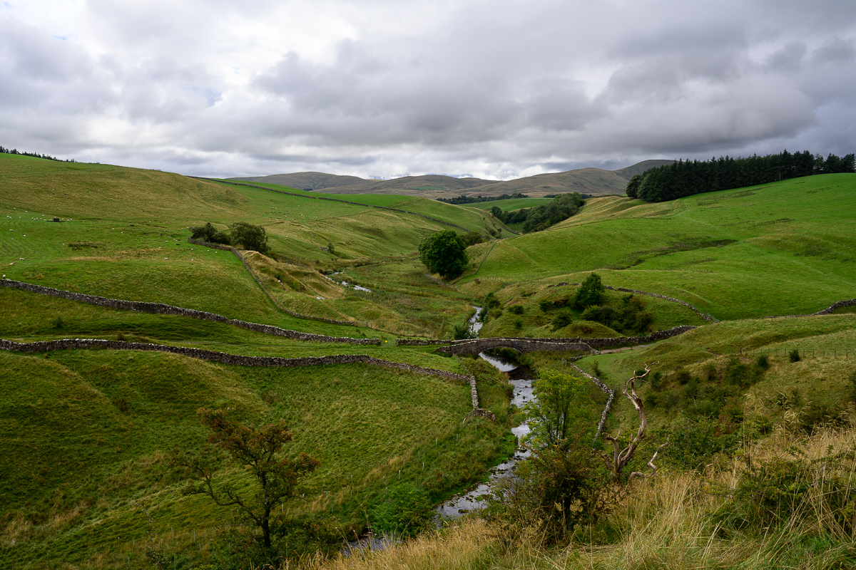 C2C_DSC_0921.jpg