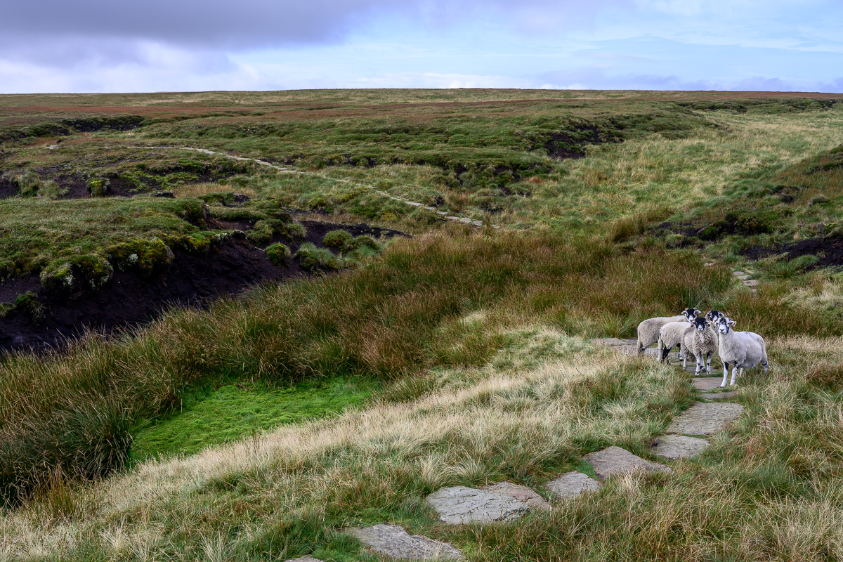C2C_DSC_0979.jpg