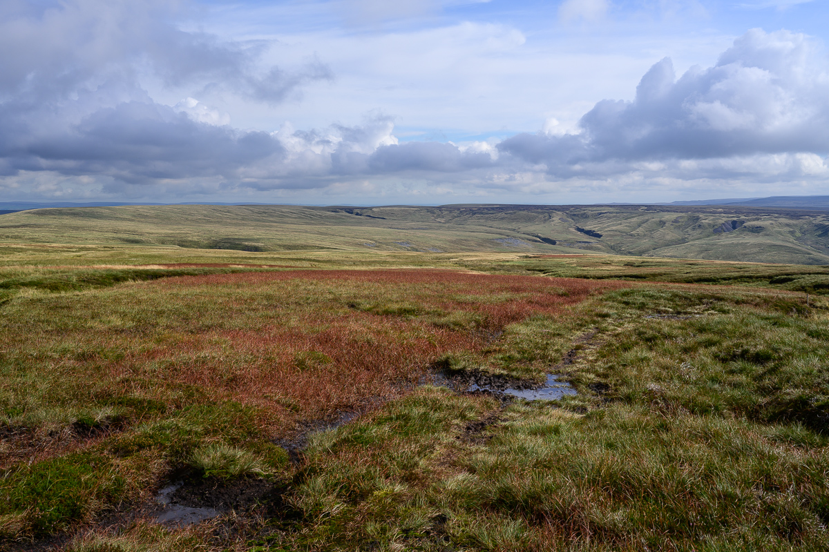 C2C_DSC_0982.jpg