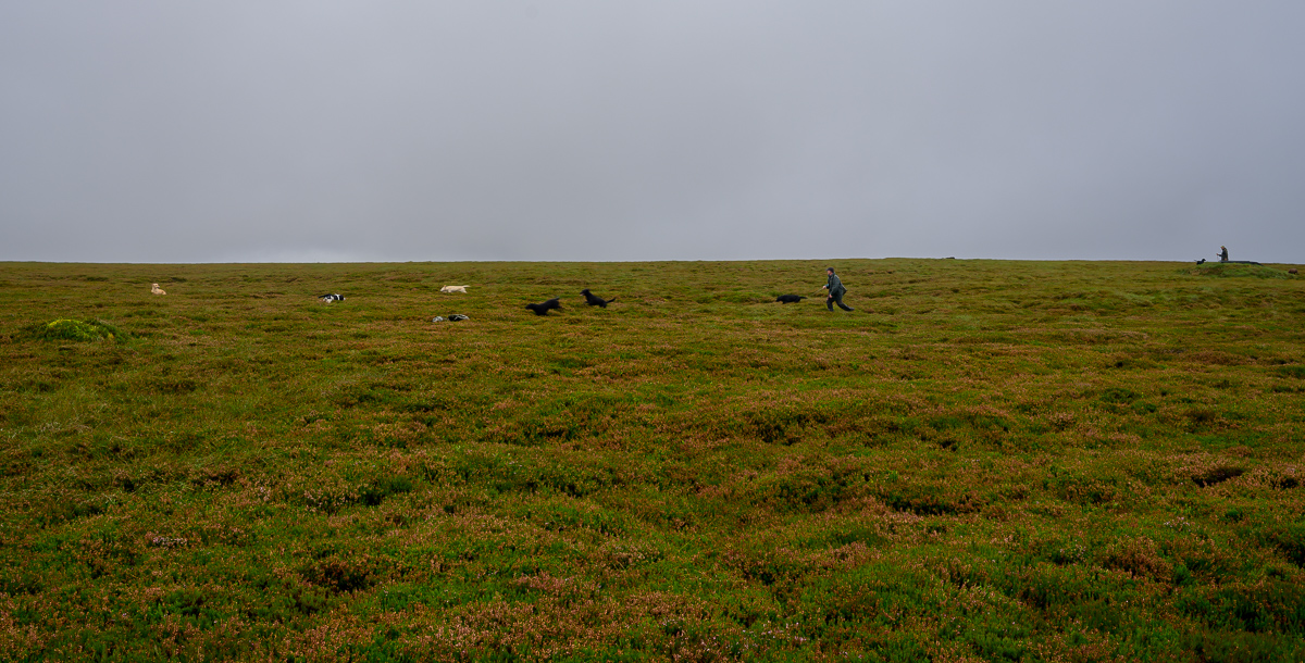 C2C_DSC_1011.jpg