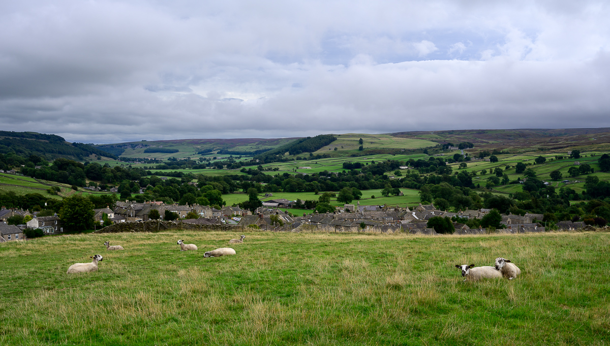 C2C_DSC_1066.jpg