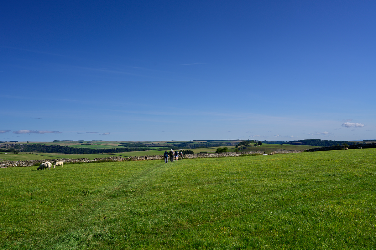 C2C_DSC_1078.jpg
