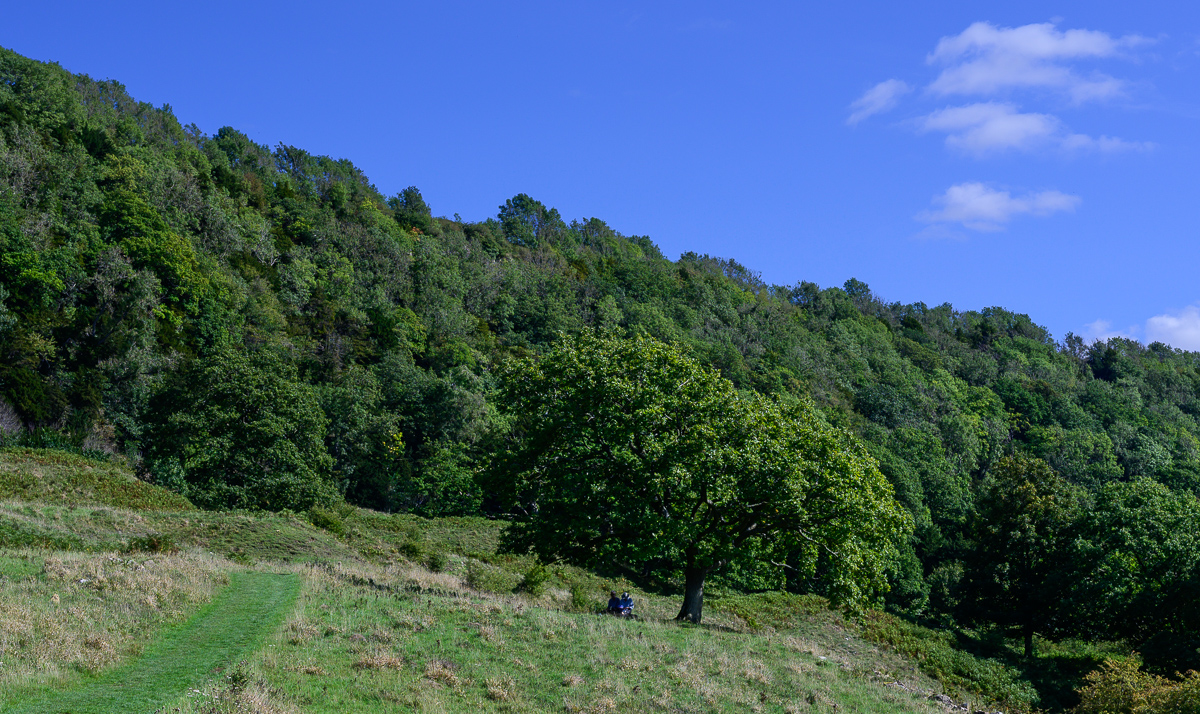 C2C_DSC_1083.jpg