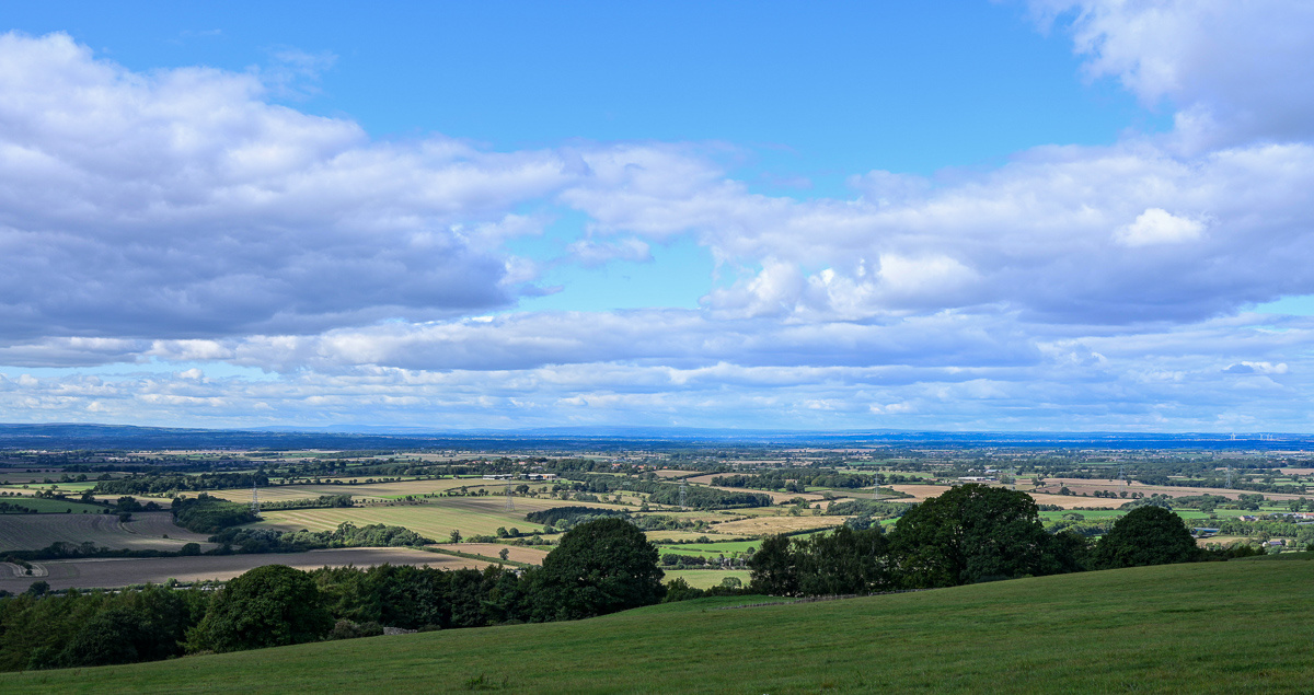 C2C_DSC_1171.jpg