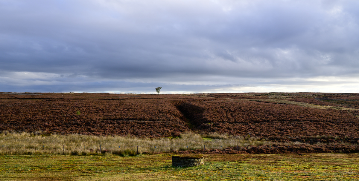 C2C_DSC_1187.jpg