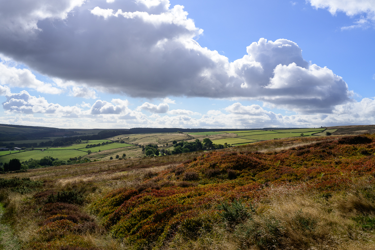 C2C_DSC_1342.jpg