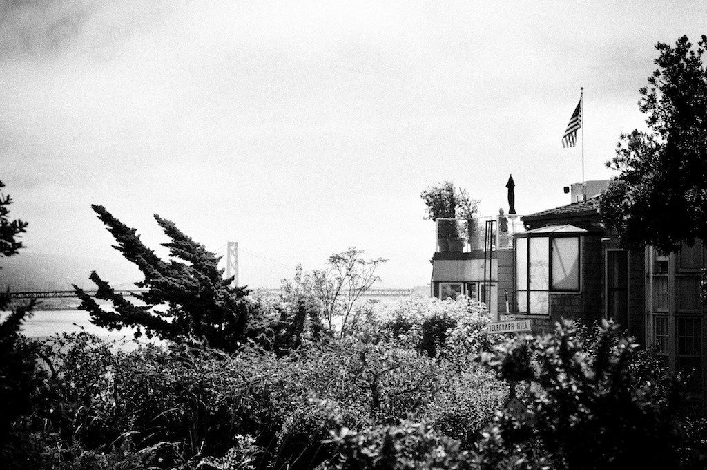 CA 06 2010 61