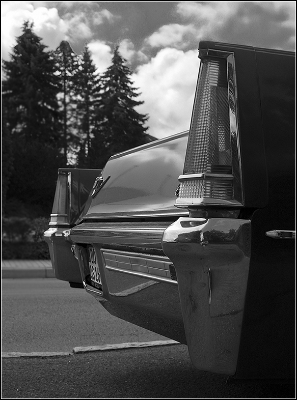 Caddy sw