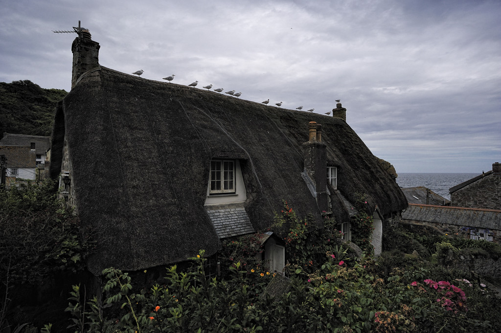Cadgwith (Cornwall)