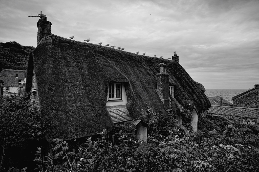 Cadgwith (Cornwall)