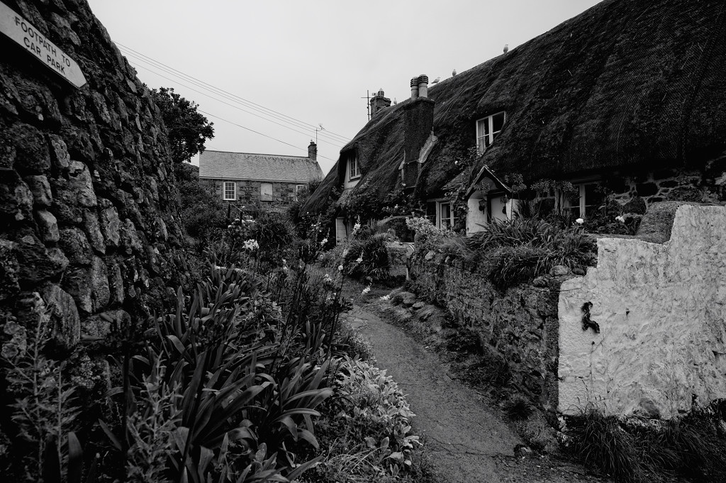 Cadgwith (Cornwall)
