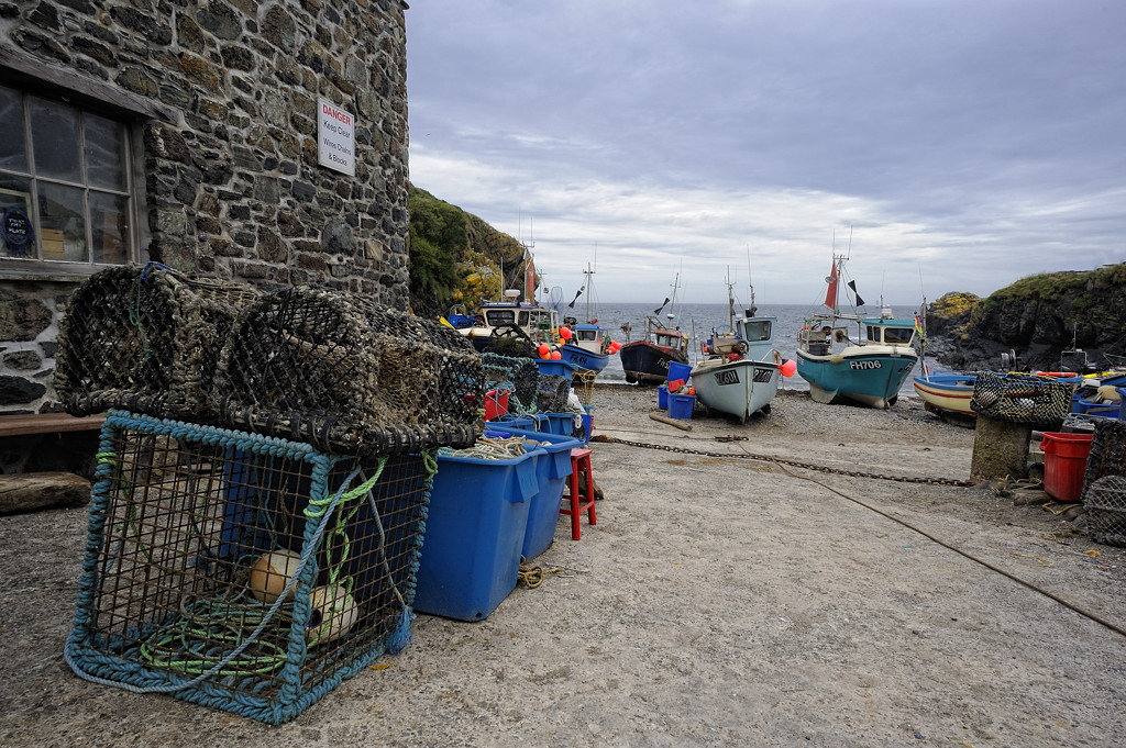 Cadgwith (Cornwall)