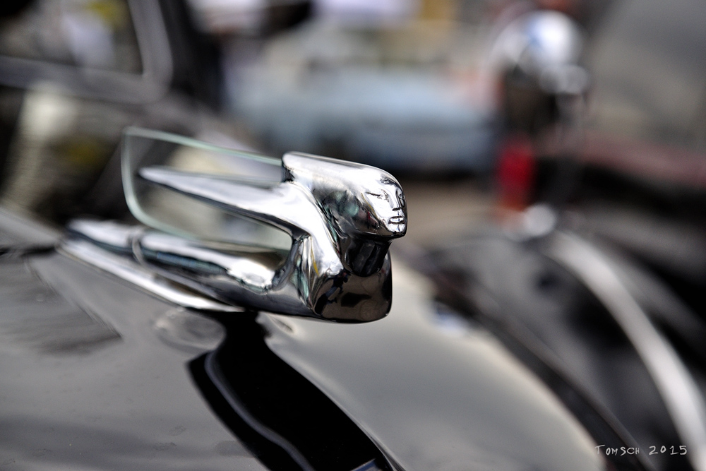 Cadillac-Kühlerfigur [DSC_6678]