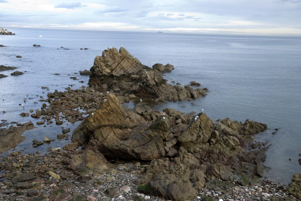 Candas
30 Dez 2009 3856