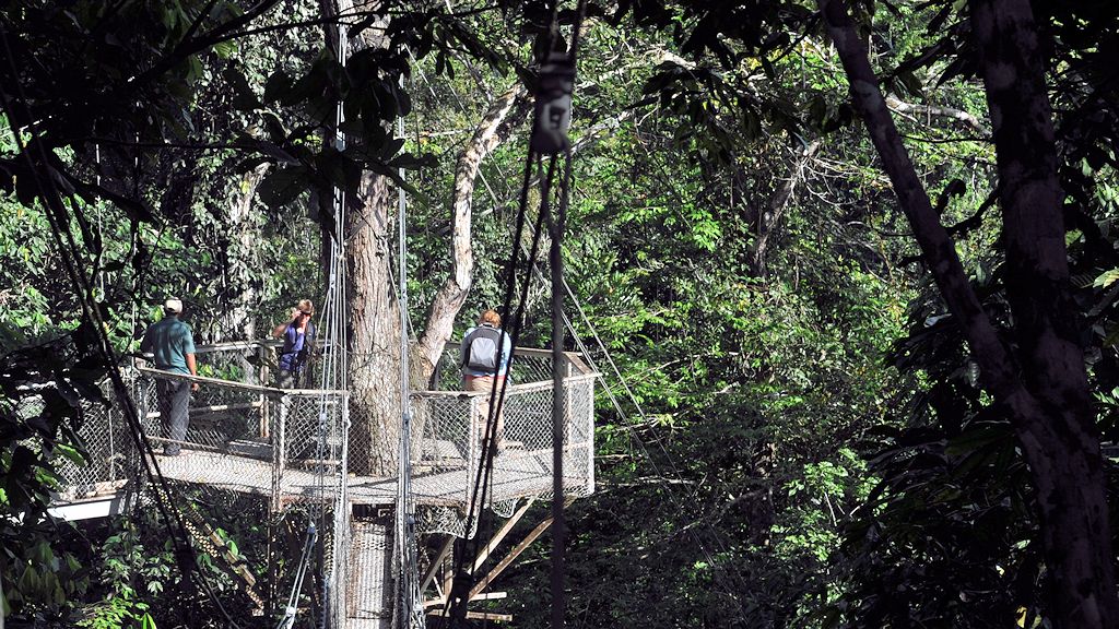 Canopy Walkway
Atta Lodge, Iwokrama Rainforest
1221