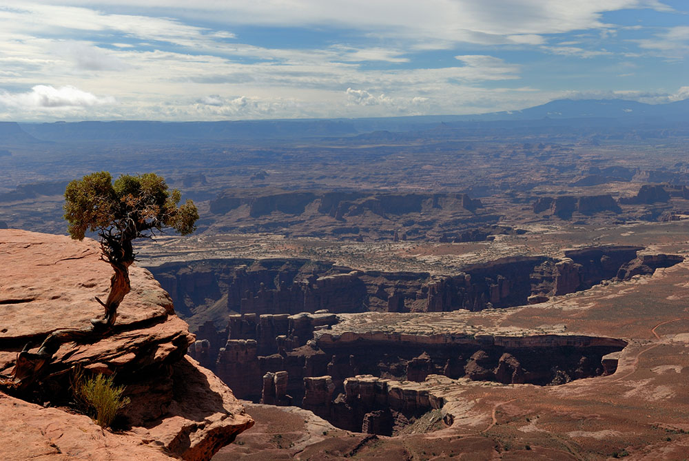 Canyonlands