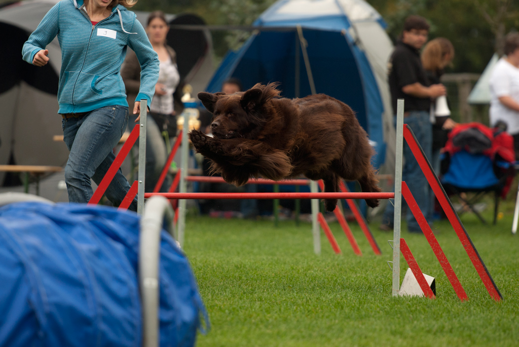 CapeCanisCup0251