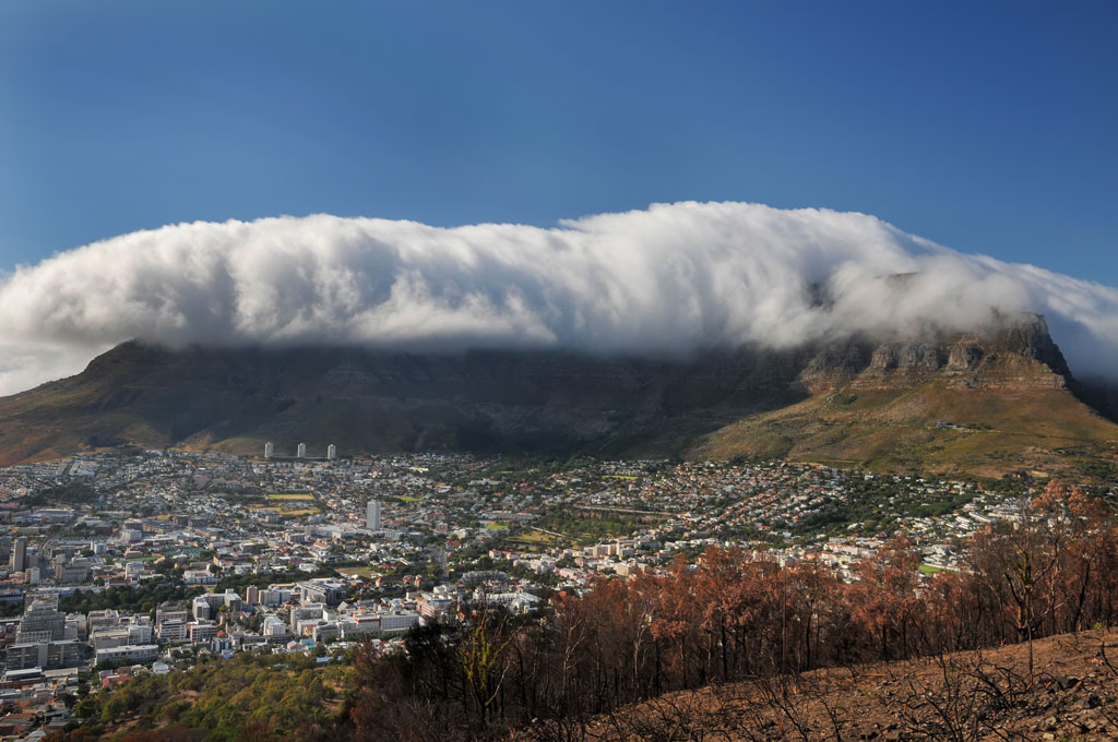 capetown 5