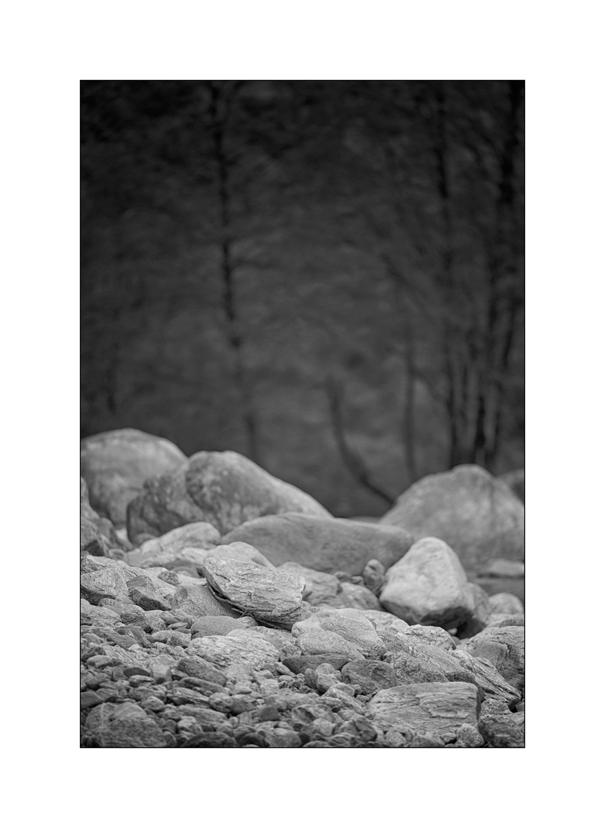 CasDSC_2309.jpg