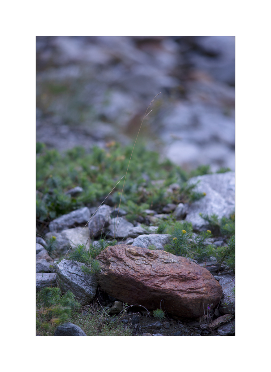 CasDSC_2336.jpg