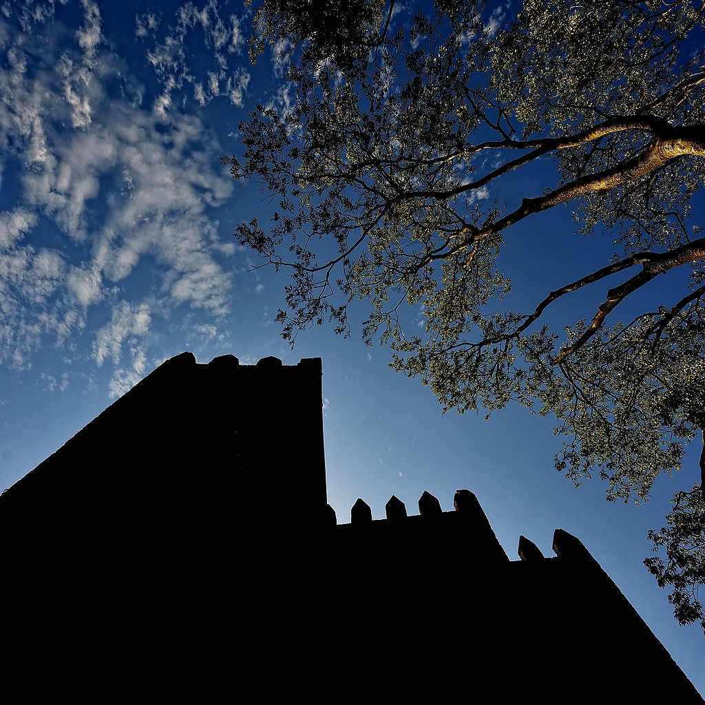 Castelo Guimarães