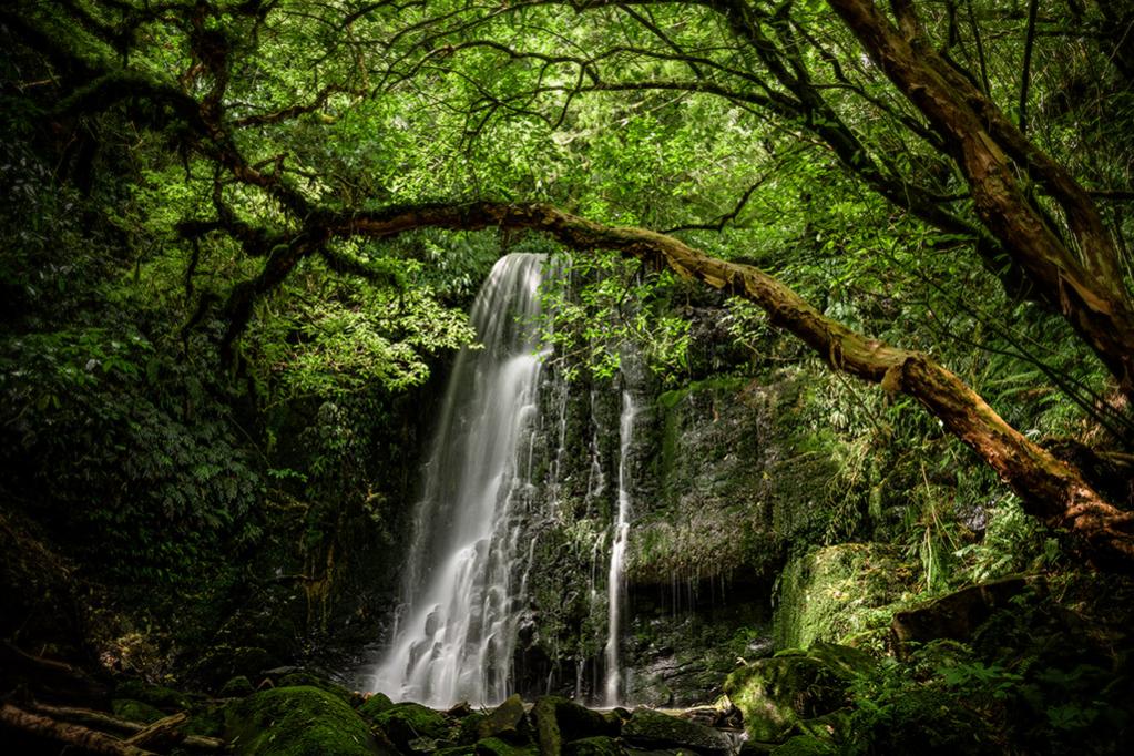 Catlins waterfall 02 klein