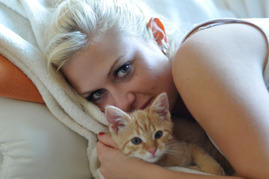 cb 110901 0005 cat nff
