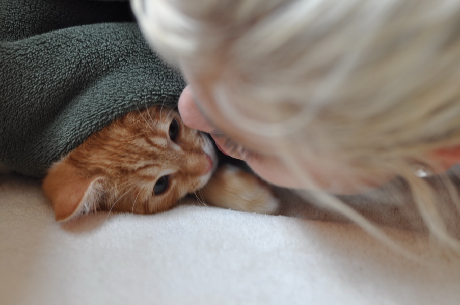 cb 110901 0025 cat nff