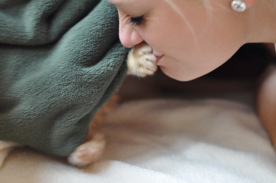 cb 110901 0027 cat nff