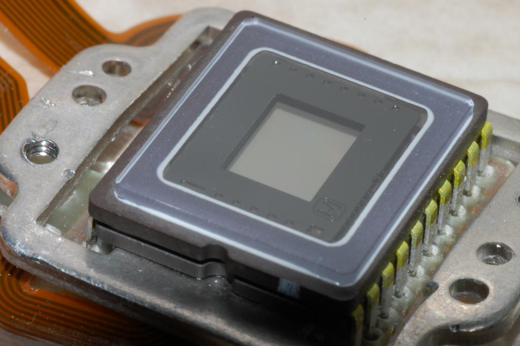 CCD

D40 + 90mm Tamron Macro
freihand