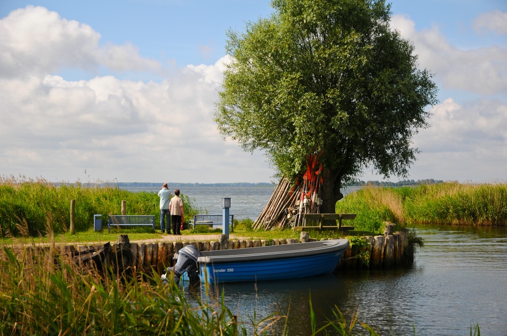 cd Gnitz 1
