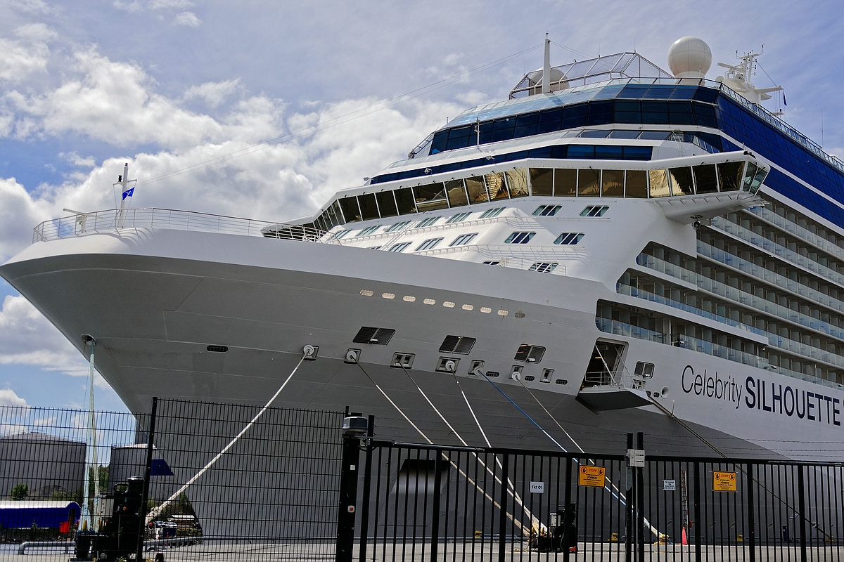 Celebrity Silhouette