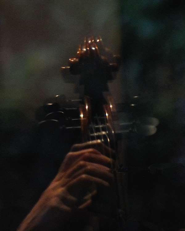 Cello3