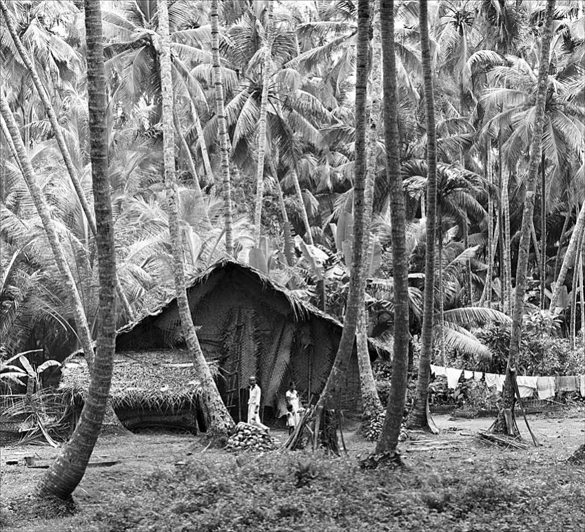 ceylon südküste   2