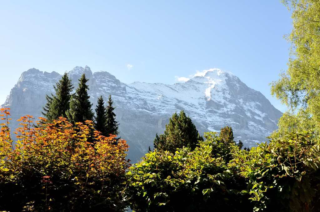 CH2010 Grindelwald Eiger 001