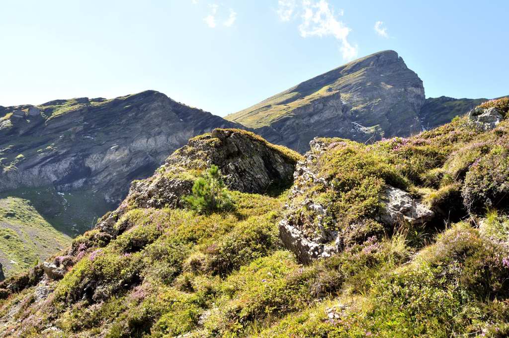 CH2010 Grindelwald Eiger 040