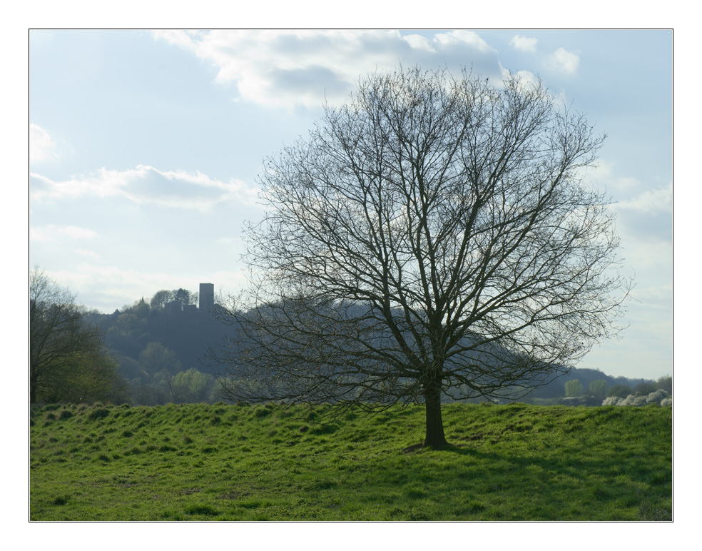 Chaos Baum